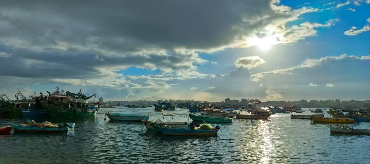 الإسكندرية ترفع حالة الطوارئ لمواجهة موجة الأمطار - 1000824133