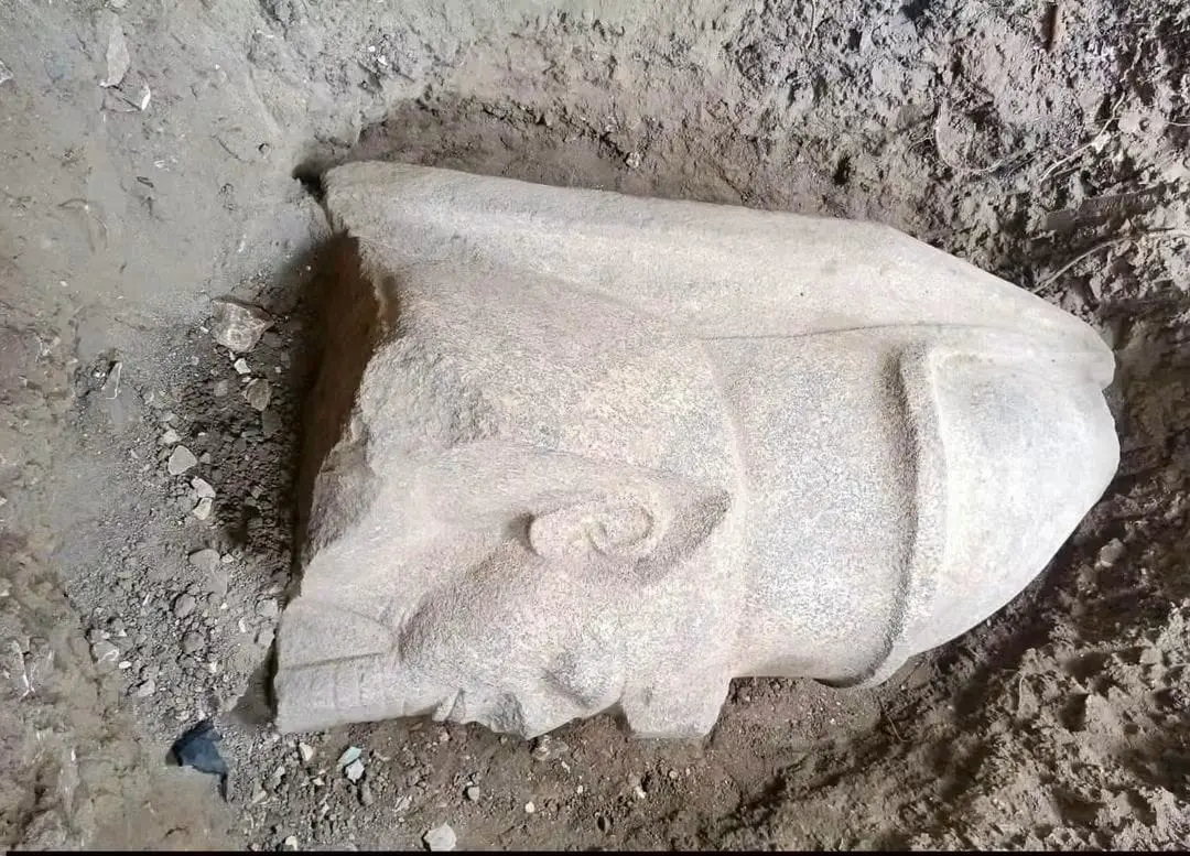 ​كشف عبد المنصف خليل، مدير عام آثار الغربية، في أول تصريح رسمي له، تفاصيل الاكتشاف الأثري الجديد بقرية بهبيت الحجارة التابعة لمركز سمنود بمحافظة الغربية. ويأتي هذا بعد العثور على قطع وتماثيل ملكية تعود للأسرة الفرعونية القديمة داخل نطاق إحدى الأراضي الزراعية المتاخمة للمنطقة الأثرية بالقرية.