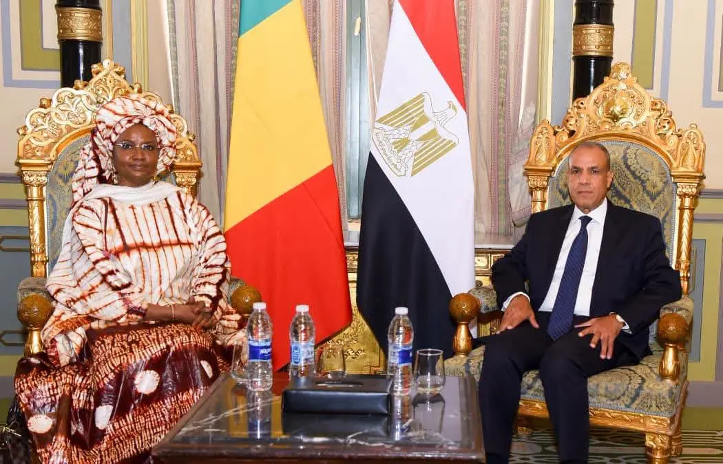 مصر ومالي تبحثان تعزيز التعاون في ريادة الأعمال وتأهيل الشباب لسوق العمل