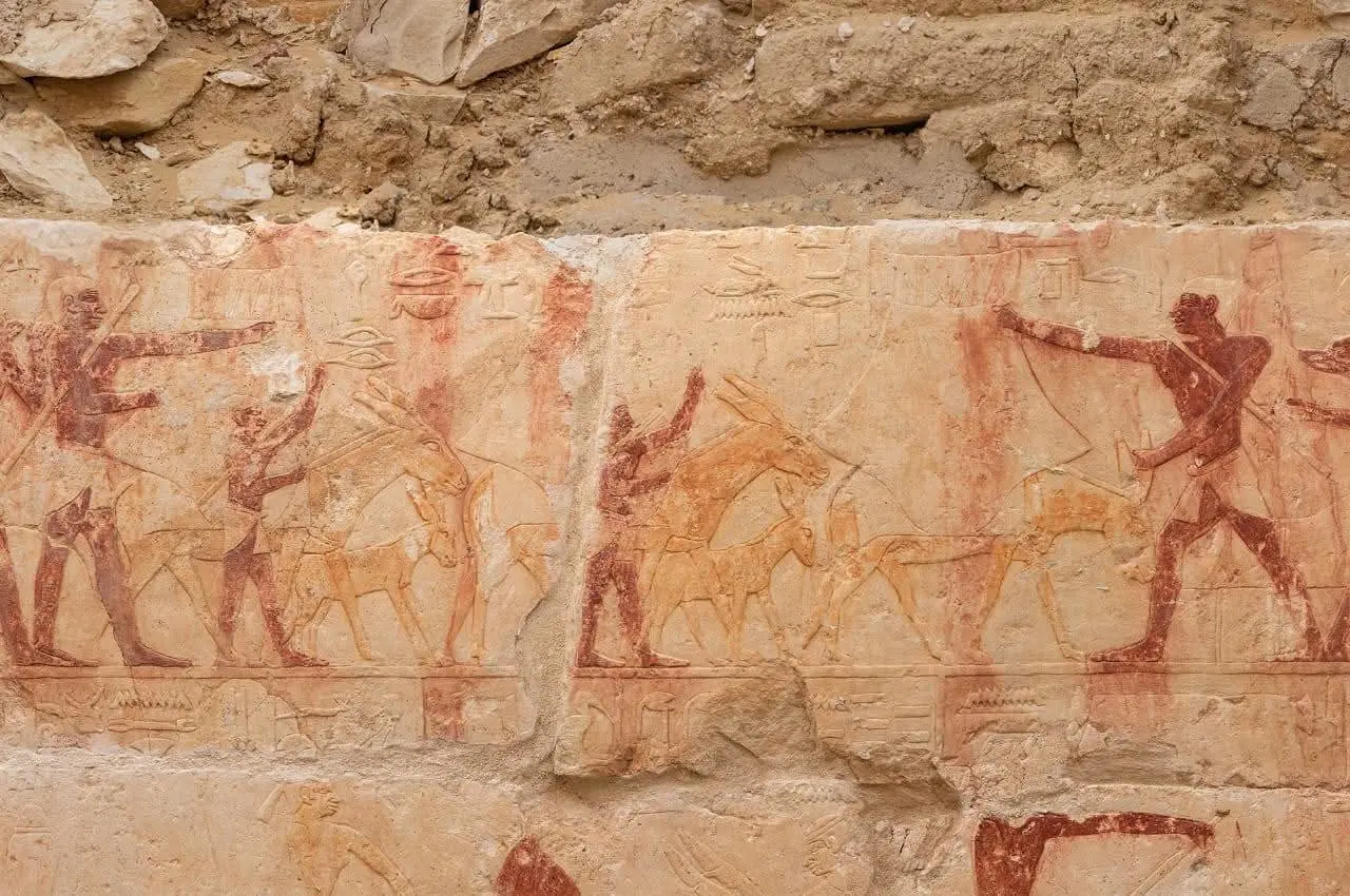 من القاضي إلى رئيس الكتبة.. كشف أثري في سقارة يوثق حياة كبار موظفي الدولة القديمة