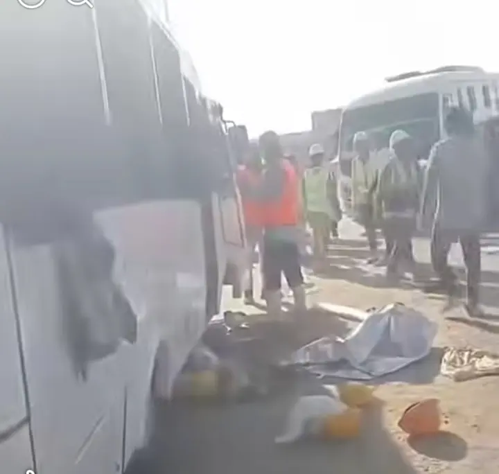 بالأسماء.. إصابة 33 شخصًا في حادث تصادم نقل وميني باص بطريق السويس–السخنة