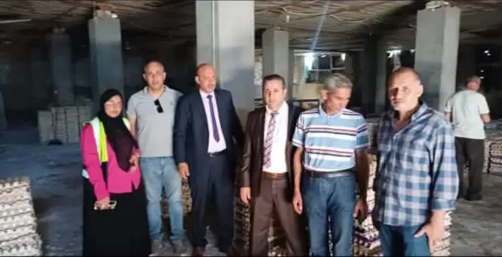 ضبط 228 ألفًا و600 بيضة فاسدة قبل بيعها لمصانع الحلوى في الغربية