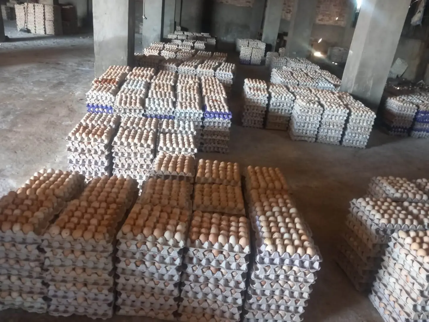 ضبط 228 ألفًا و600 بيضة فاسدة قبل بيعها لمصانع الحلوى في الغربية
