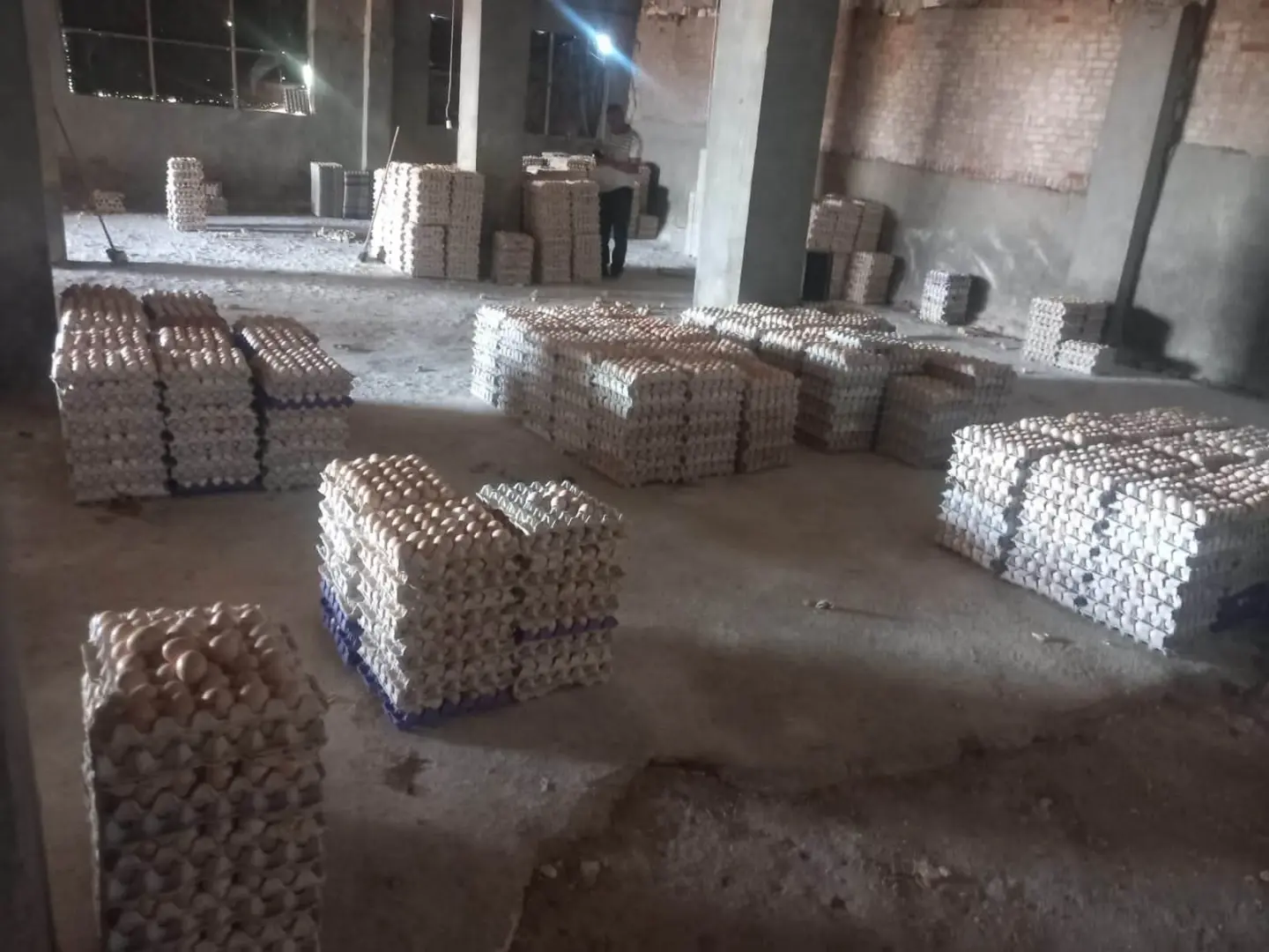 ضبط 228 ألفًا و600 بيضة فاسدة قبل بيعها لمصانع الحلوى في الغربية