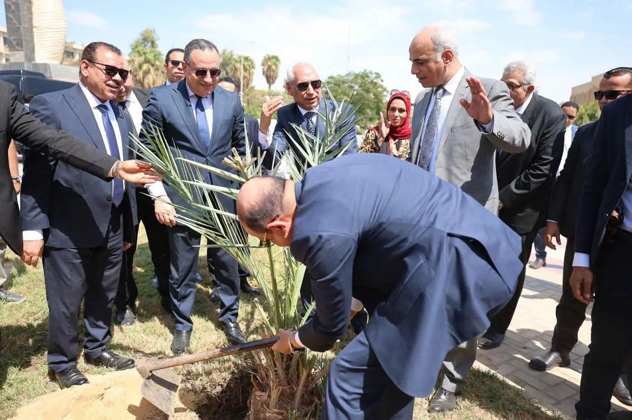 جامعة المنيا