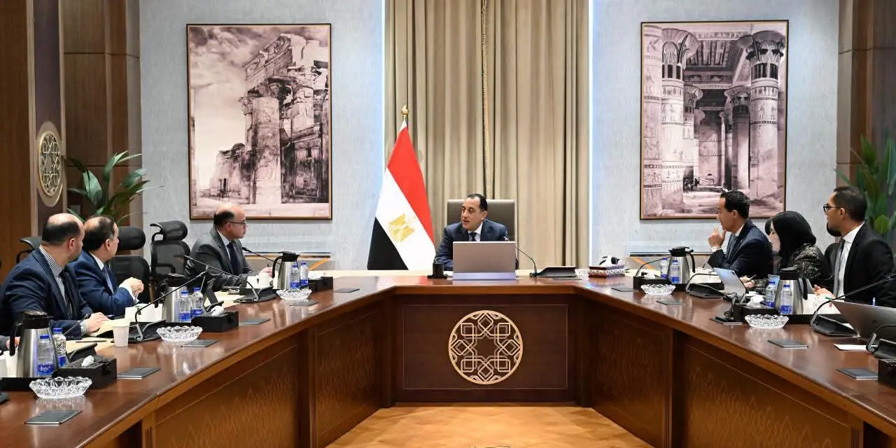 مدبولي ملامح استراتيجية الاستثمار الأجنبي ا