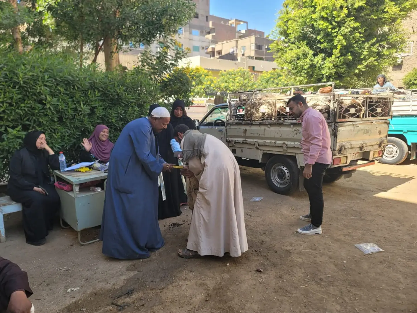 الطب البيطري بسوهاج يسلّم 770 رأس أغنام لـ375 أسرة ضمن «باب أمل»