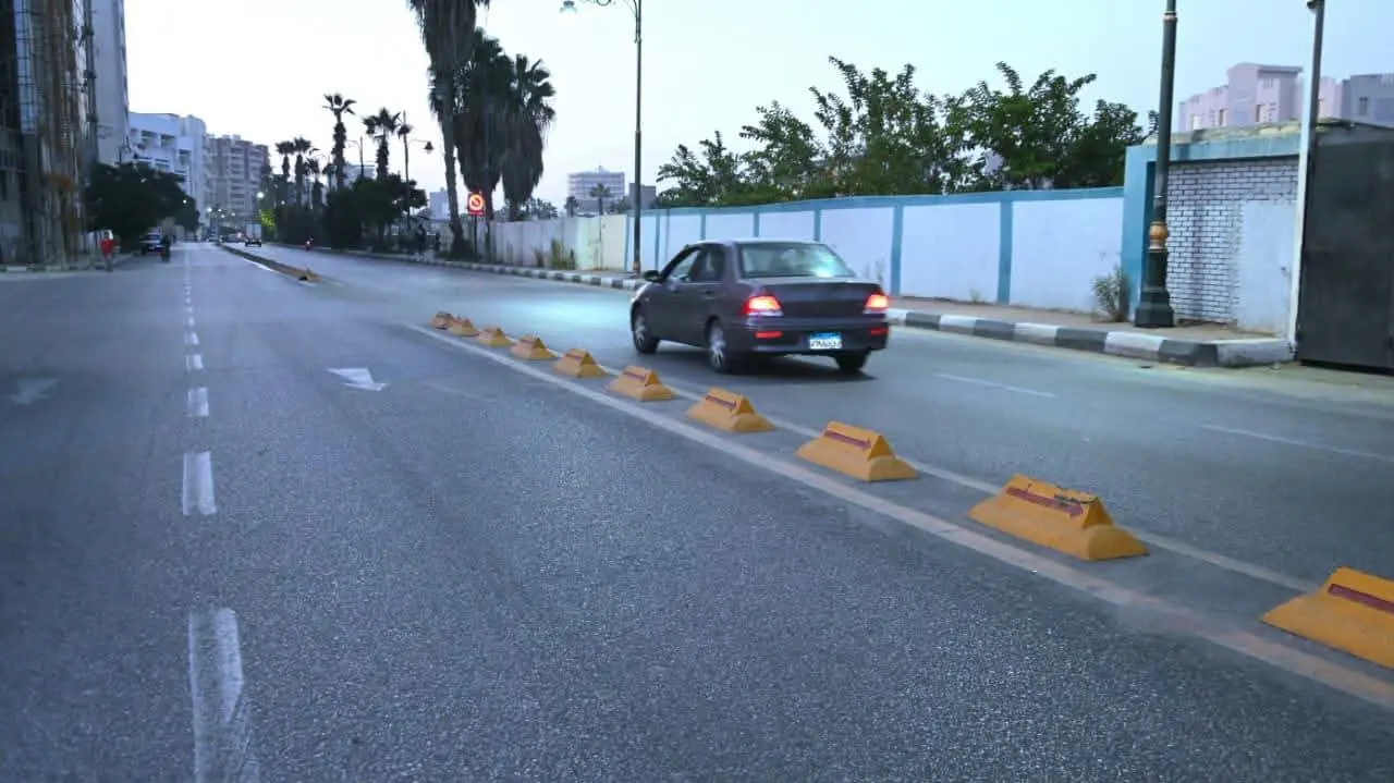 جاكلين عازر تقود حملة مكبرة لرفع الإشغالات وتحسين النظافة بشوارع دمنهور