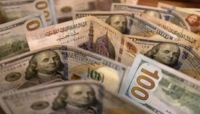 تخطى الـ50 جنيهًا.. سعر الدولار اليوم الجمعة 14 أغسطس 2026 في البنوك