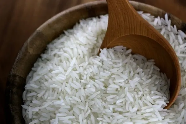 ارتفاع طن الشعير.. أسعار الأرز اليوم بالأسواق