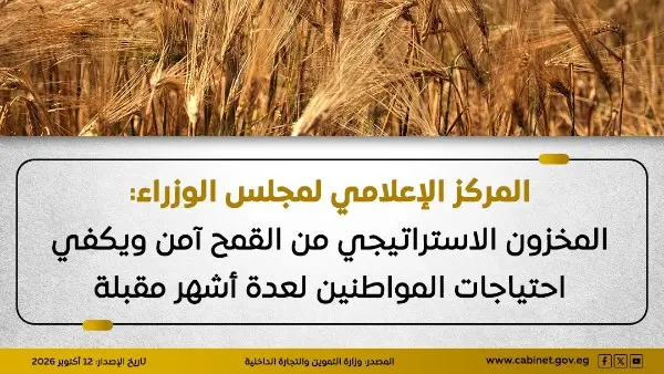 حقيقة تأثر المخزون الاستراتيجي من القمح نتيجة تراجع واردات مصر منه.. الحكومة تحسم