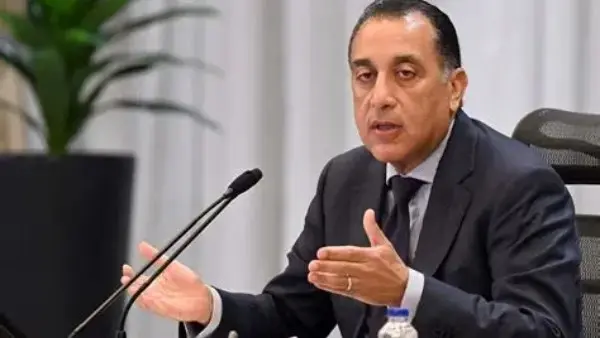 ارتفاع جديد في أسعار الدواجن البيضاء اليوم الأربعاء 7 أكتوبر 2026.. والكيلو يتجاوز 90 جنيهًا