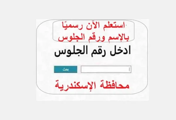رابط مباشر.. نتيجة الشهادة الإعدادية بالإسكندرية على موقع الخبر لايف