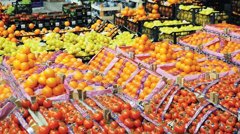 الصادرات الزراعية المصرية تتخطى 6.2 مليون طن وتفتح اسواق عالمية جديدة