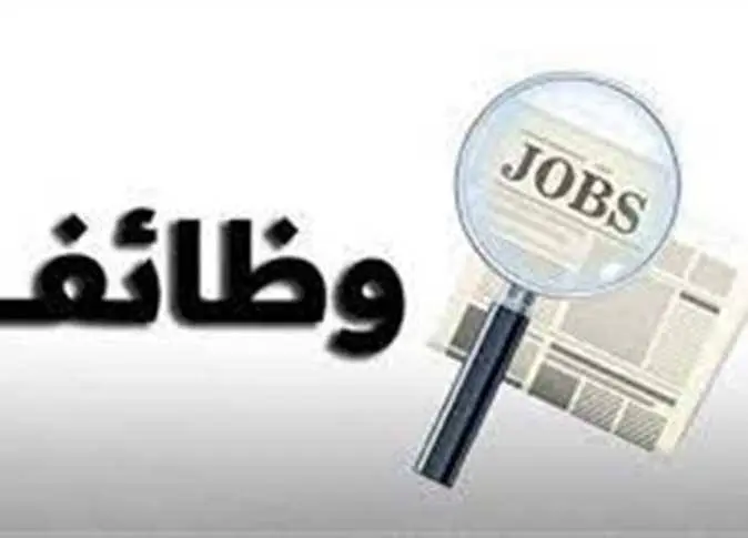راتب وفرص عمل.. وزارة العمل تعلن 66 وظيفة جديدة