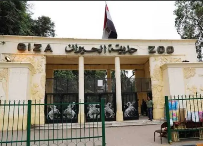 "جنينة الحيوانات" تعود للواجهة.. خطوة رمزية لإحياء الهوية التاريخية في تطوير حدائق الجيزة