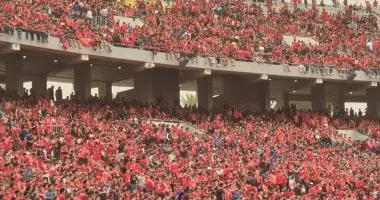 إخلاء سبيل 35 مشجعًا من جماهير الأهلي بكفالة بتهمة إثارة الشغب في مباراة الجيش الملكي