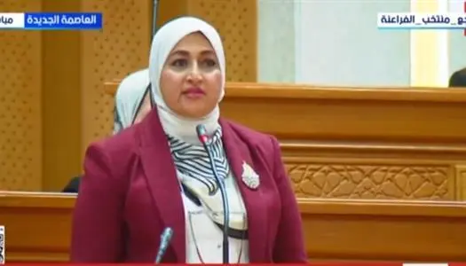 طلب إحاطة برلماني لزيادة مرتبات العاملين بالجامعات وتسوية أوضاع العمالة المؤقتة