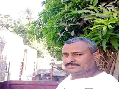شجرة مانجو تتحول إلى جريمة.. خلاف عائلي ينتهي بمقتل مزارع في نجع حمادي
