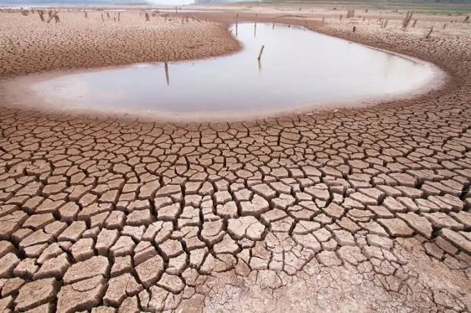 "من المدن المضيئة إلى قرى بلا كهرباء".. 10 أرقام تكشف قصة العالم من حولنا - 206836