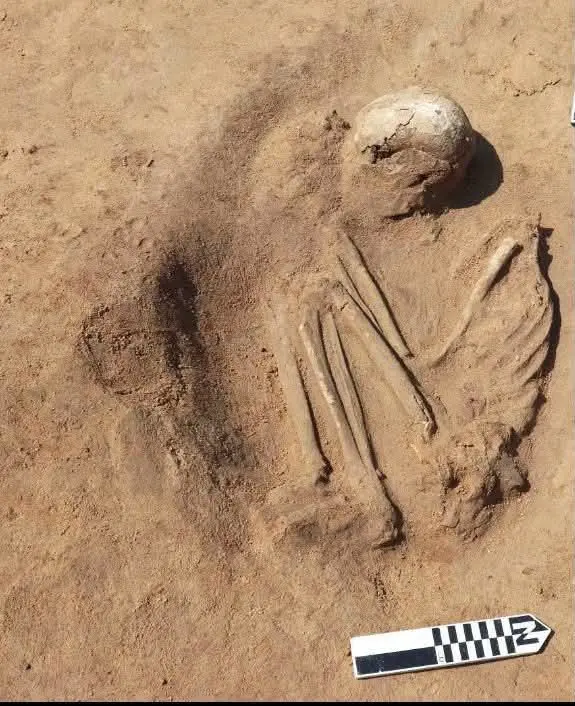 مقابر الهكسوس وأسرار ما قبل الأسرات.. كشف أثري جديد يغير تاريخ الدقهلية - 215227