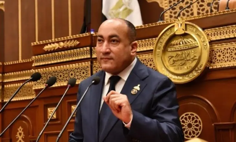 برلماني: القيادة الاستراتيجية للدولة تجسد رؤية استباقية لحماية الأمن القومي