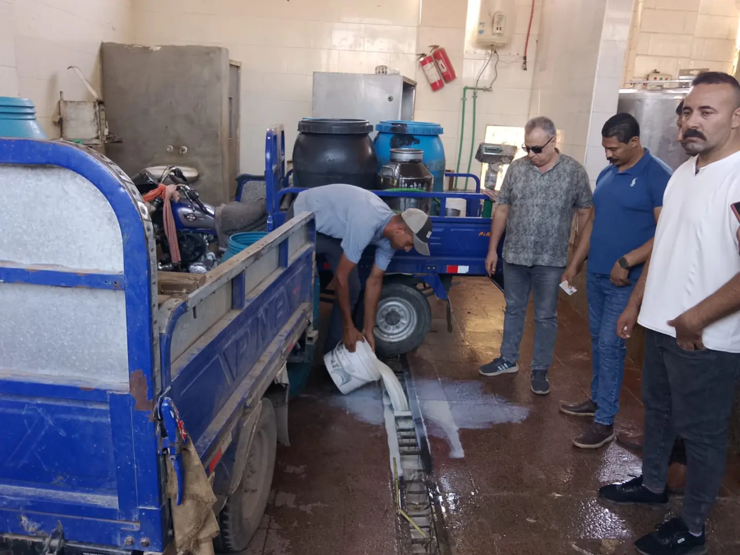 مصنع موتزاريلا سري داخل حظيرة مواشي.. ضبط 765 كيلو جبن ومواد كيميائية بالفيوم - 231558