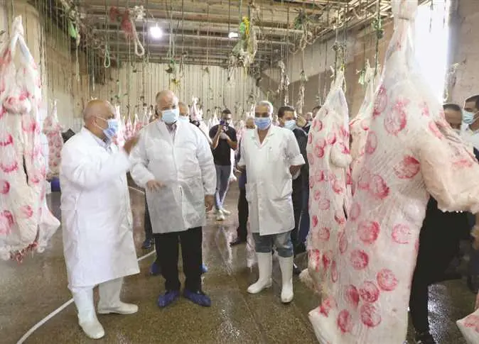 الزراعة: ذبح 35.5 ألف أضحية مجانًا بالمجازر الحكومية خلال عيد الأضحى