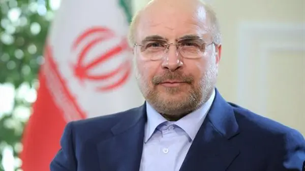 رئيس البرلمان الإيراني: أمن مضيق هرمز لن يتحقق إلا برحيل القوات الأمريكية من المنطقة