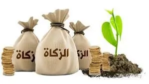 زكاة الفطر 2026.. "الإفتاء" تحدد القيمة وموعد الإخراج وحكم التأخير لما بعد صلاة العيد