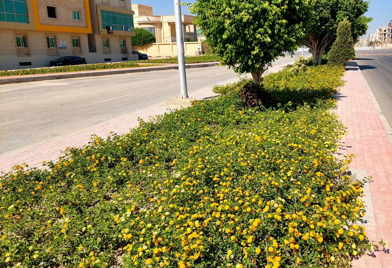 إسكان الصعيد يتطور.. مشروعات جديدة لتحسين الخدمات
