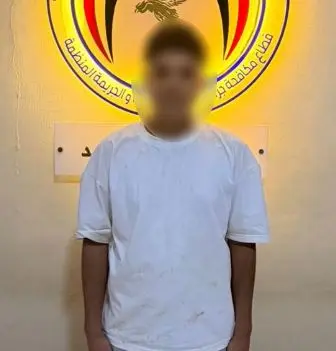 12 واقعة نصب..موظف بنك مزيف في قبضة مباحث الأموال العامة بالمنيا