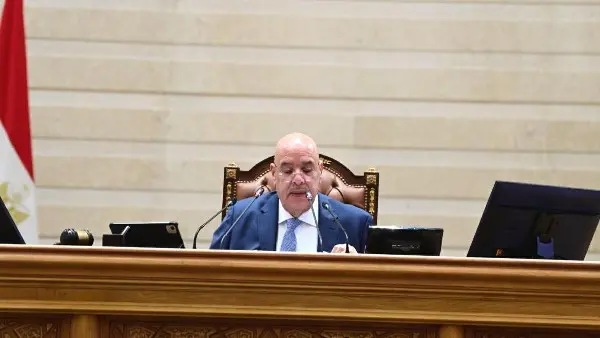 مجلس النواب يوافق على تشكيل المجلس القومي لحقوق الإنسان برئاسة السفير أحمد جمال الدين
