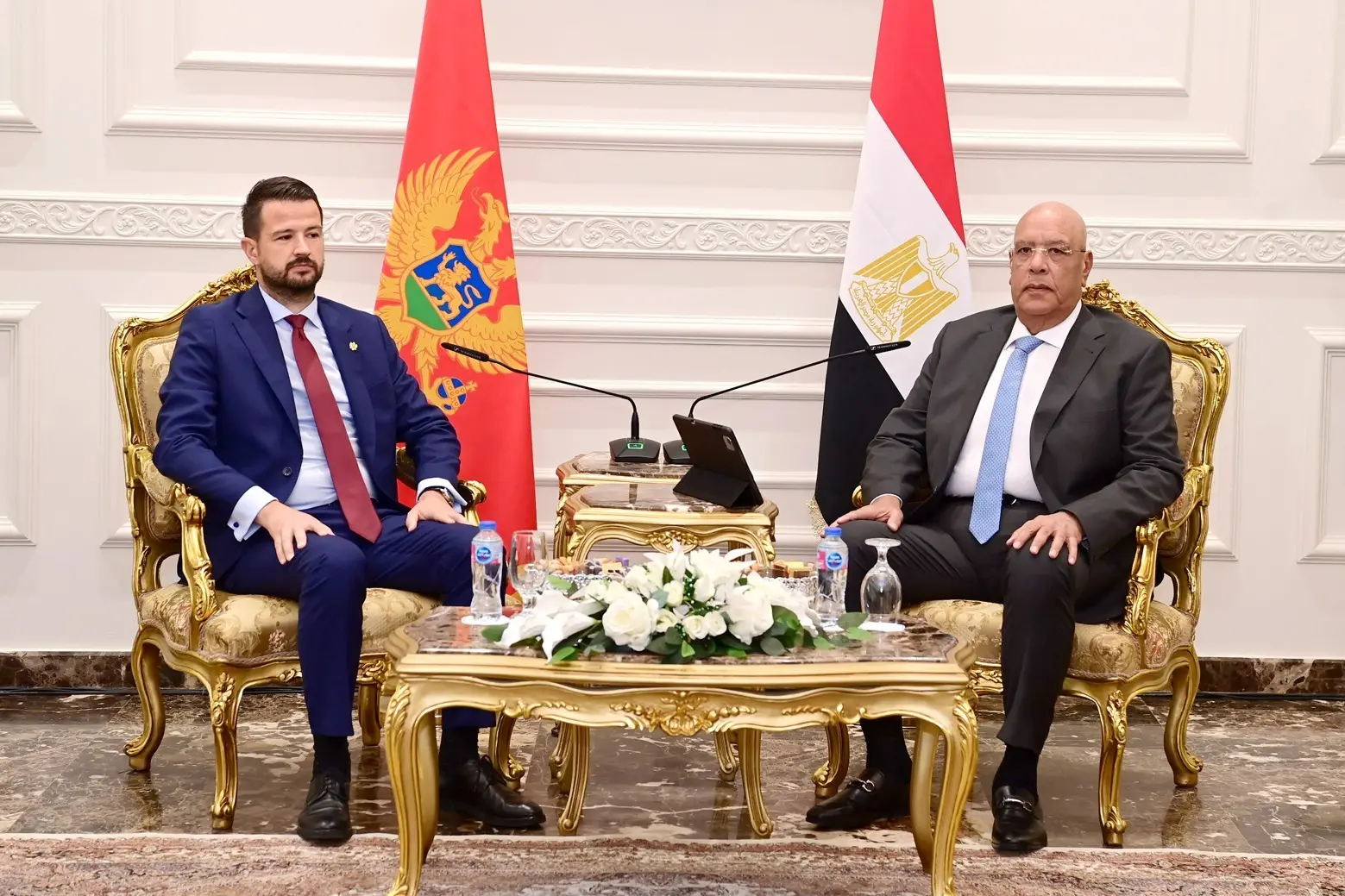 المستشار هشام بدوي رئيس مجلس النواب يلتقي  رئيس جمهورية الجبل الأسود