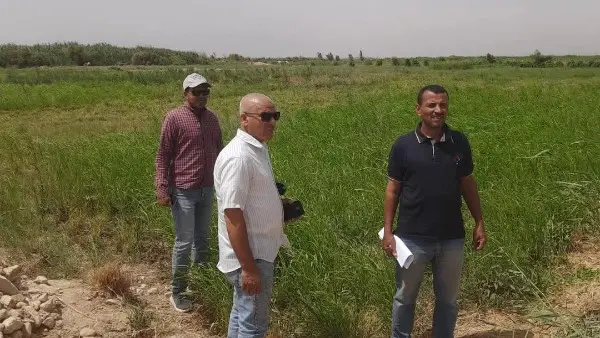 حقيقة ري الخضراوات بمياه الصرف في سوهاج
