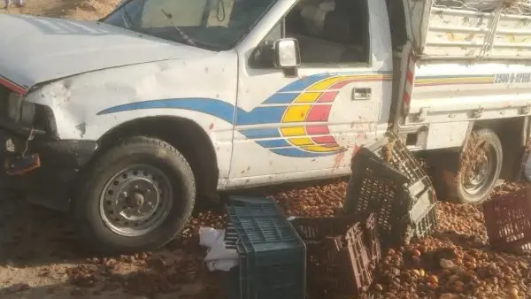 البلح كله وقع على الأرض.. انقلاب سيارة نقل ومصرع سائقها على طريق سيوة مطروح