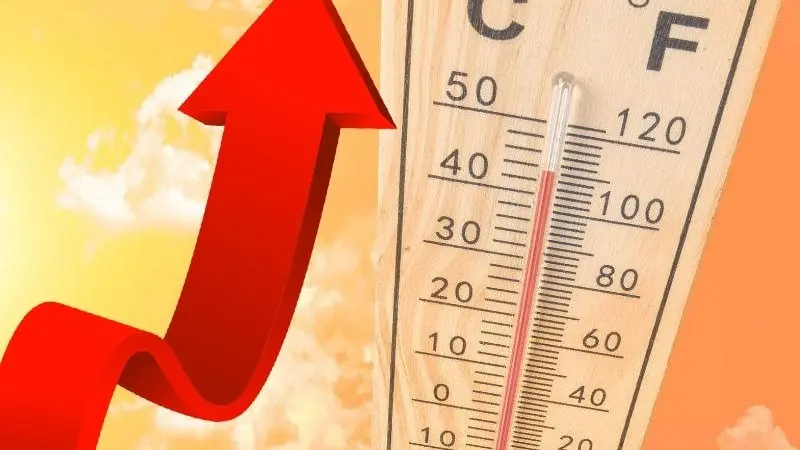 طقس الخميس 25 يونيو.. أجواء حارة ورياح نشطة وشبورة صباحية
