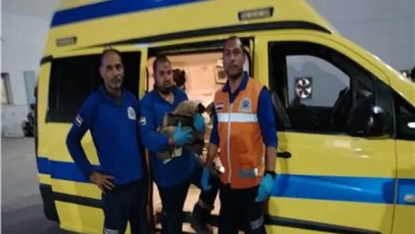 محطة طنطا تتحول لغرفة عمليات.. إنقاذ حياة سيدة وضعت مولودها داخل قطار "الإسكندرية - أسوان"