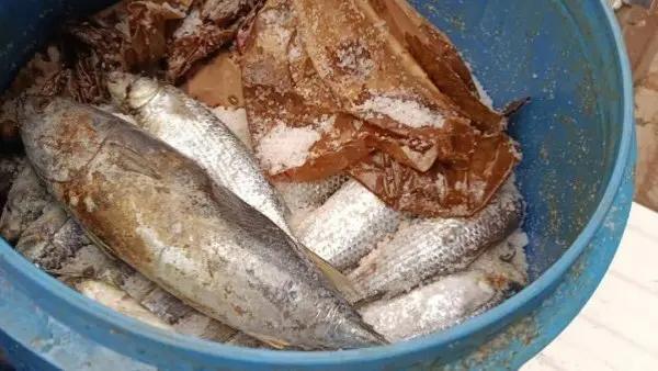 أحذروا الفسيخ الفاسد.. حملات مكثفة في المحافظات لضبط الأسماك المملحة غير صالحة