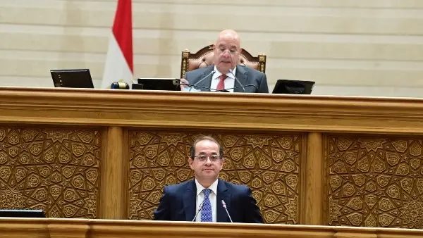 المالية تعتمد 80 مليار جنيه لدعم الانتاج وريادة الأعمال بموازنة 2026/2027