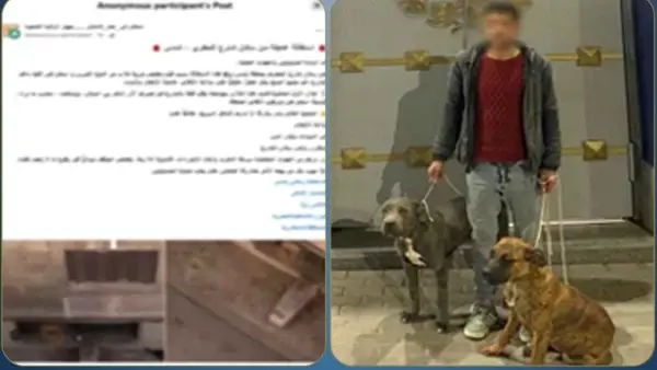 بعد فيديو "هجوم الكلبين".. أمن الإسكندرية ينجح في تحديد وضبط المتهم بنفوق قطة