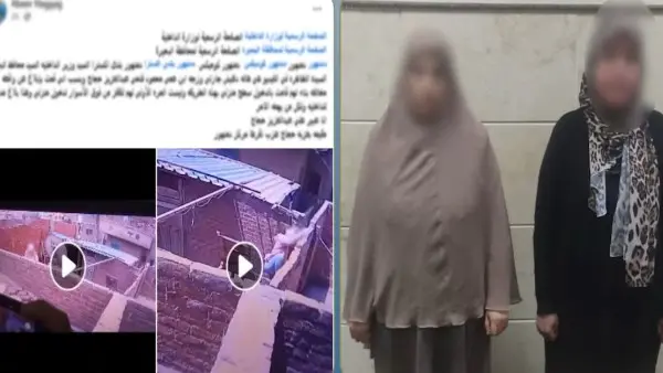 القبض على سيدة أتلفت كاميرات مراقبة خاصة بمنزل جارتها بالبحيرة