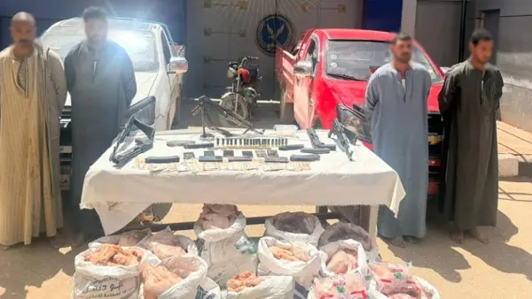 سطو مسلح على سيارة دواجن.. وزارة الداخلية تكشف التفاصيل