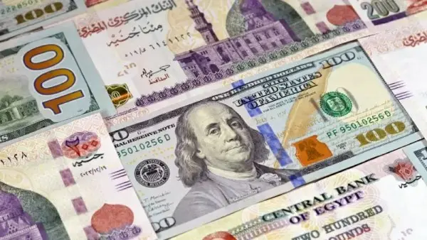 تحديث أسعار العملات في مصر اليوم.. استقرار الدولار وتباين الريال واليورو