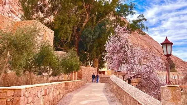 سانت كاترين تستقبل 396 سائحاً في رمضان رغم برودة الطقس وإغلاق الدير