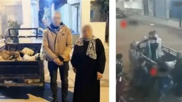 الداخلية تكشف حقيقة فيديو جمع شخصين لصغار الكلاب بالإسكندرية