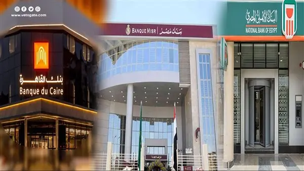 ملف استقصائي- الانتقال السلس نحو الاقتصاد الرقمي (الحلقة الثالثة)