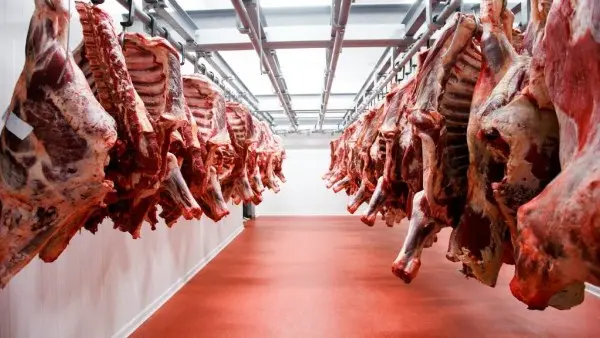 تجهيز 490 مجزرًا حكوميًا على مستوى الجمهورية لاستقبال المواطنين خلال أيام عيد الأضحى