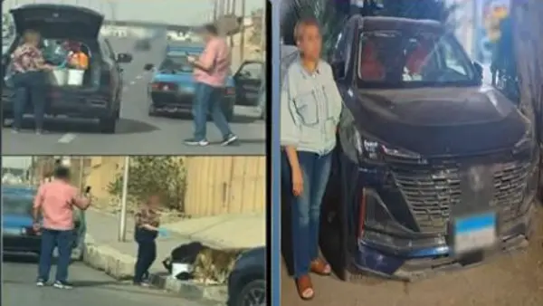 القبض على سيدة تطعم الكلاب الضالة في شوارع القاهرة