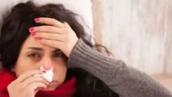 حقيقة وجود فيروس هانتا في مصر